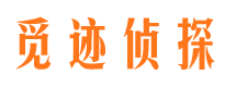 于田背景调查